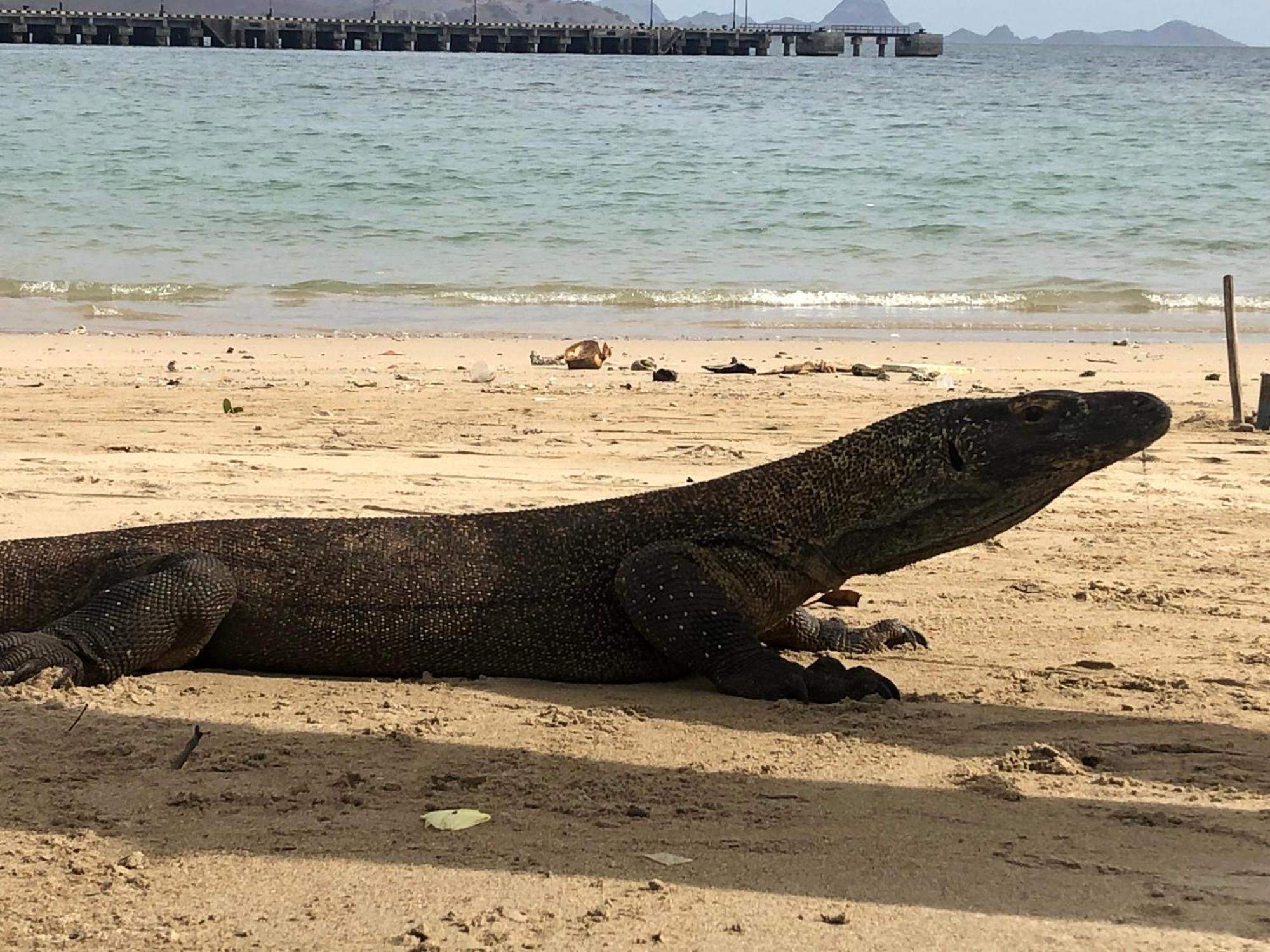 Dua Putri Komodo Homestay Exterior foto